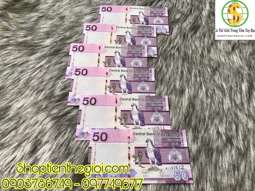 Gambia 50 Dalasis 2019 UNC